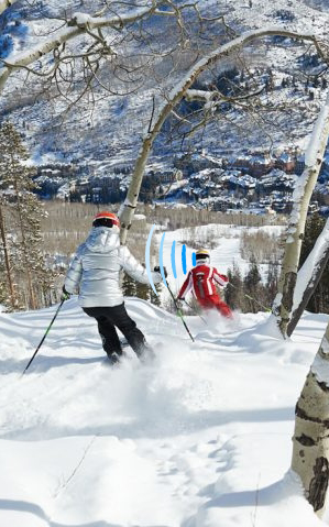 skibouleauondes